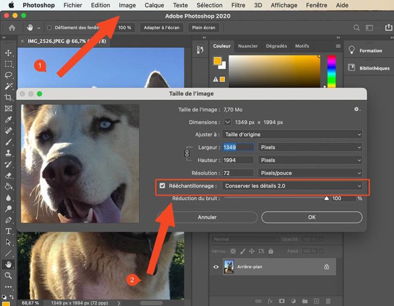 Agrandir une image sans perte de qualité techniques infaillibles